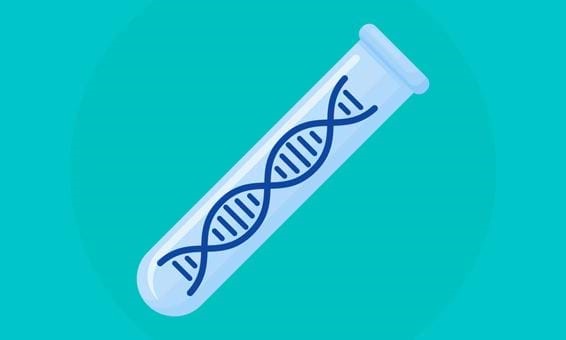 Test tube 